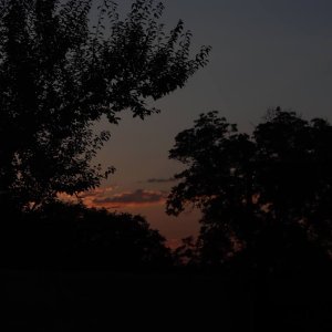 مدنی 6.jpg